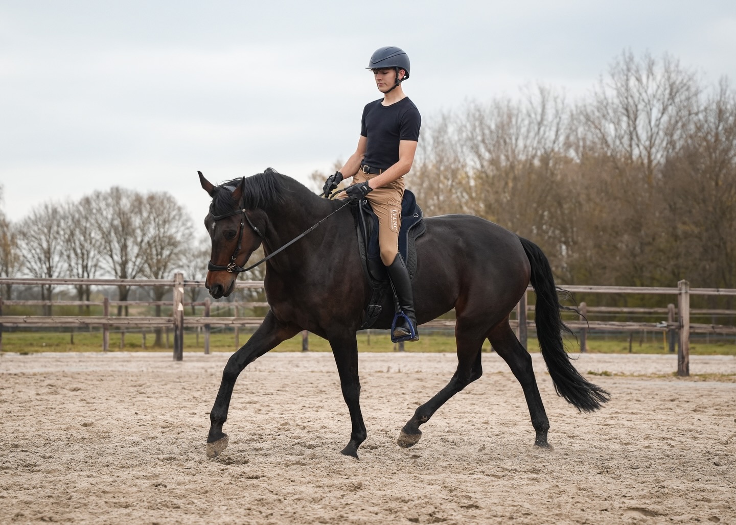 Robin rijdt een jong paard in draf in de buitenbak